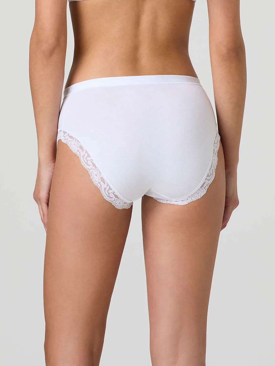 Jadea Basic 532 midi modal pizzo cipria